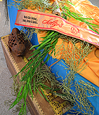 THE RICHARD SHERMAN CELEBRITY SOFTBALL GAME VIP EVENT